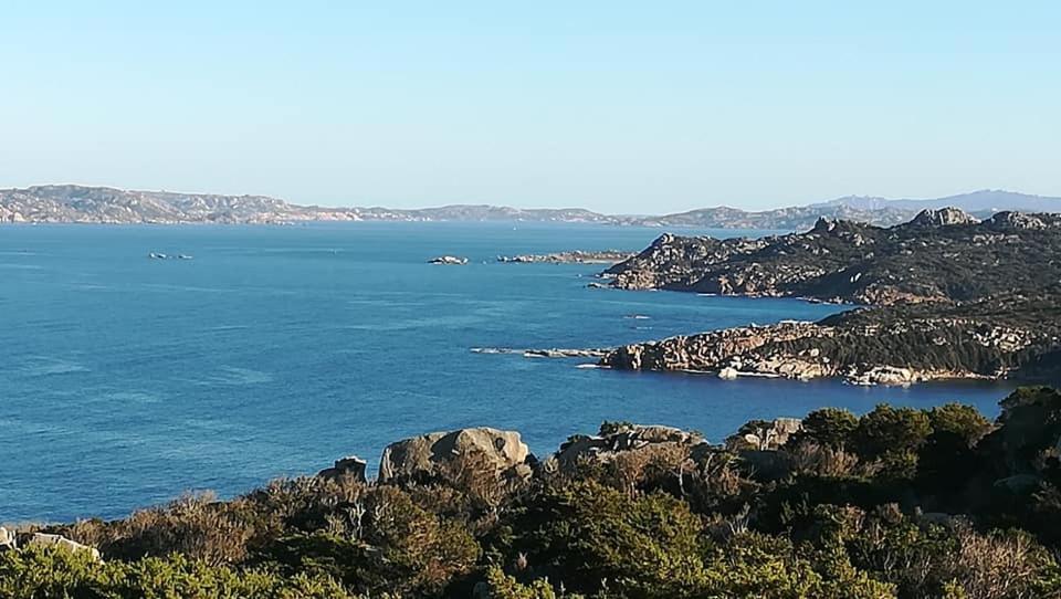 Da Patrizia Santa Teresa Gallura Exterior foto